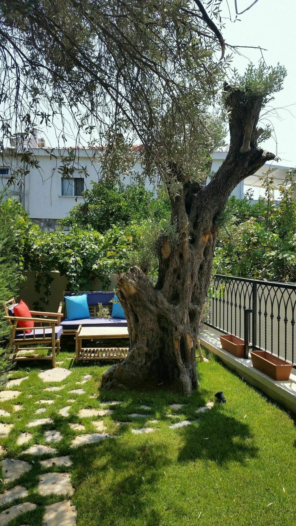 Cassiopeia Hotel Alaçatı Ngoại thất bức ảnh