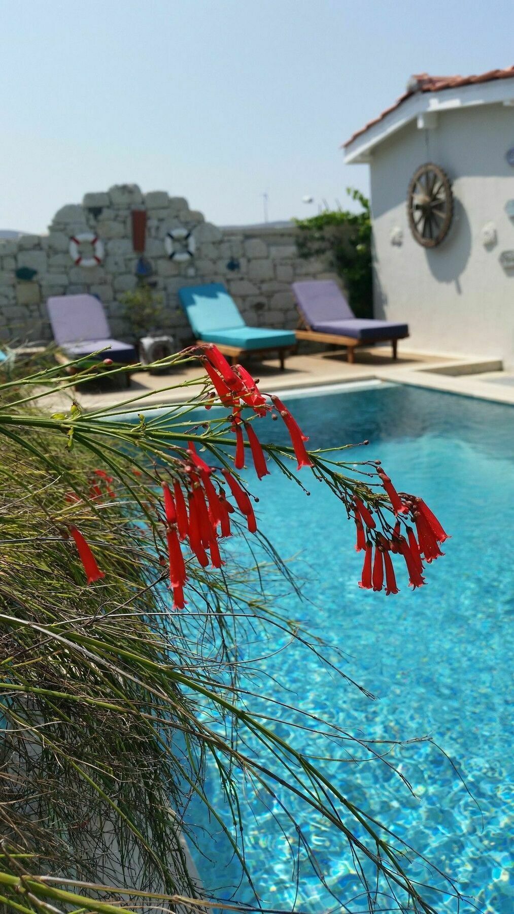 Cassiopeia Hotel Alaçatı Ngoại thất bức ảnh